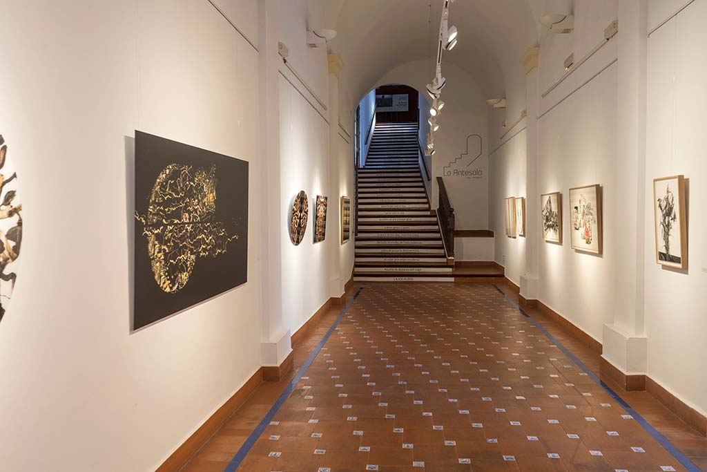 Ateneo de Málaga — foto 1 de 2