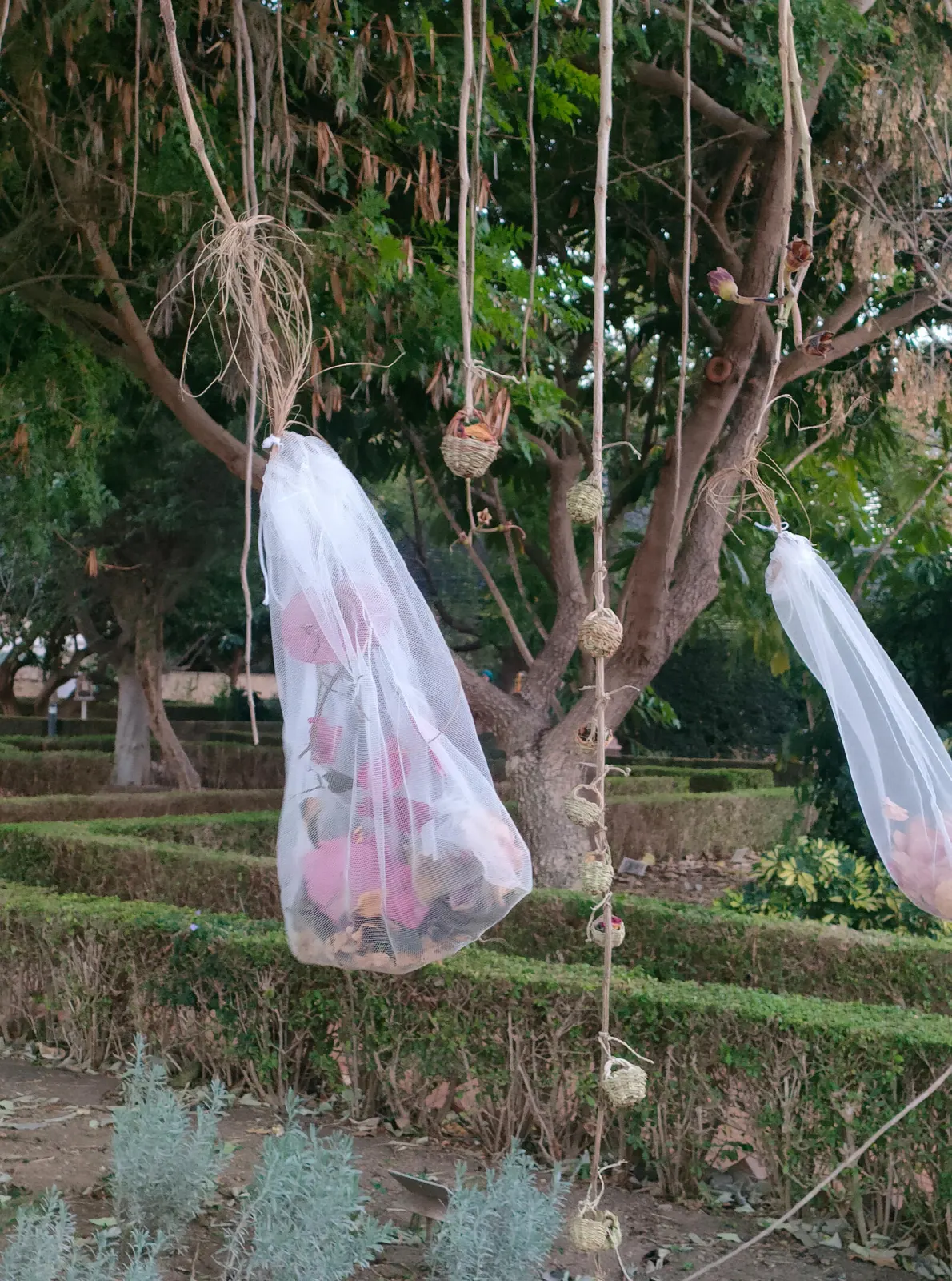 Susana Moreno — photo 16 of 16